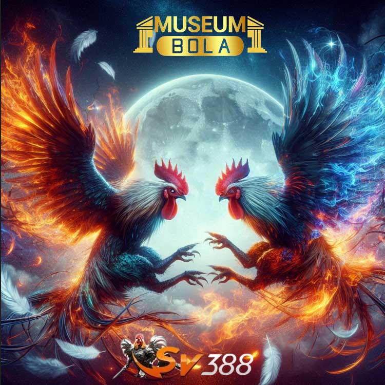 Panduan Lengkap Taruhan Sabung Ayam di Museumbola