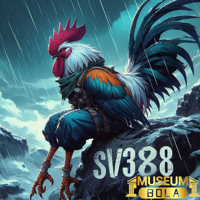 Sabung Ayam SV388